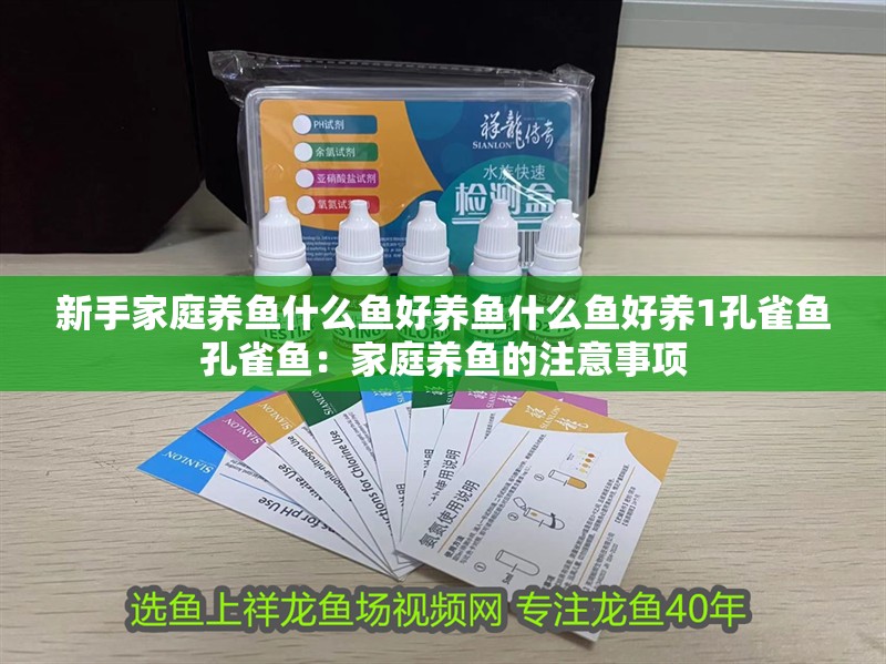 新手家庭養魚什么魚好養魚什么魚好養1孔雀魚孔雀魚：家庭養魚的注意事項