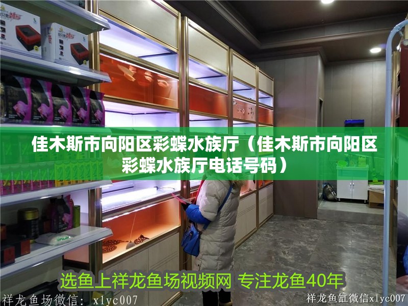 佳木斯市向陽區彩蝶水族廳（佳木斯市向陽區彩蝶水族廳電話號碼）