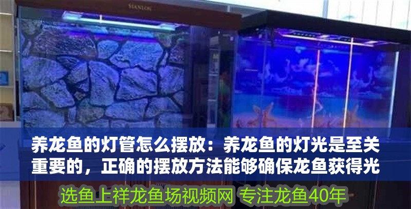 養(yǎng)龍魚的燈管怎么擺放：養(yǎng)龍魚的燈光是至關重要的，正確的擺放方法能夠確保龍魚獲得光線