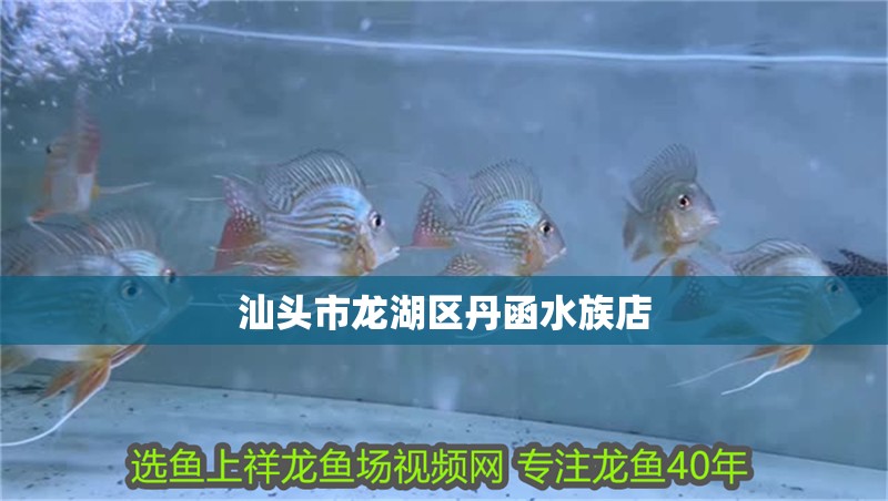汕頭市龍湖區丹函水族店