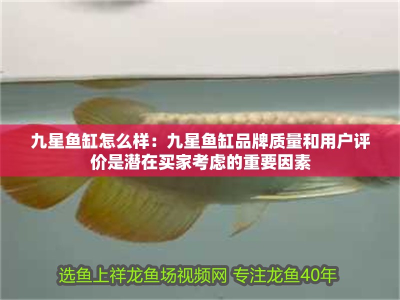 九星魚缸怎么樣：九星魚缸品牌質(zhì)量和用戶評(píng)價(jià)是潛在買家考慮的重要因素