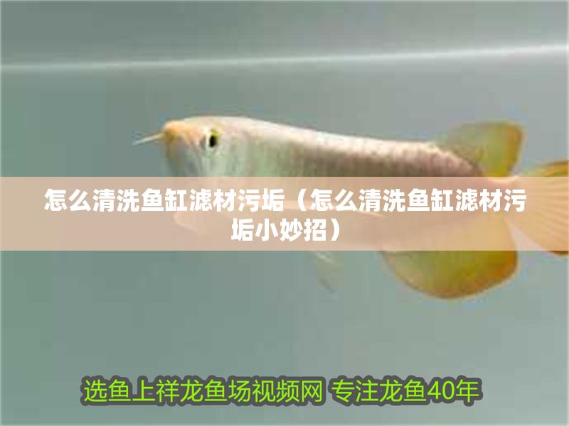 怎么清洗魚缸濾材污垢（怎么清洗魚缸濾材污垢小妙招）