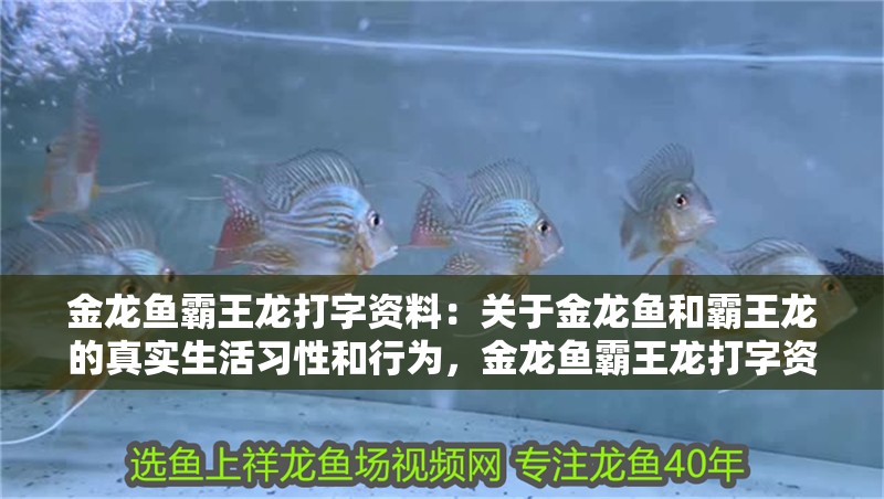 金龍魚(yú)霸王龍打字資料：關(guān)于金龍魚(yú)和霸王龍的真實(shí)生活習(xí)性和行為，金龍魚(yú)霸王龍打字資料