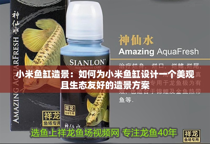 小米魚缸造景：如何為小米魚缸設計一個美觀且生態友好的造景方案