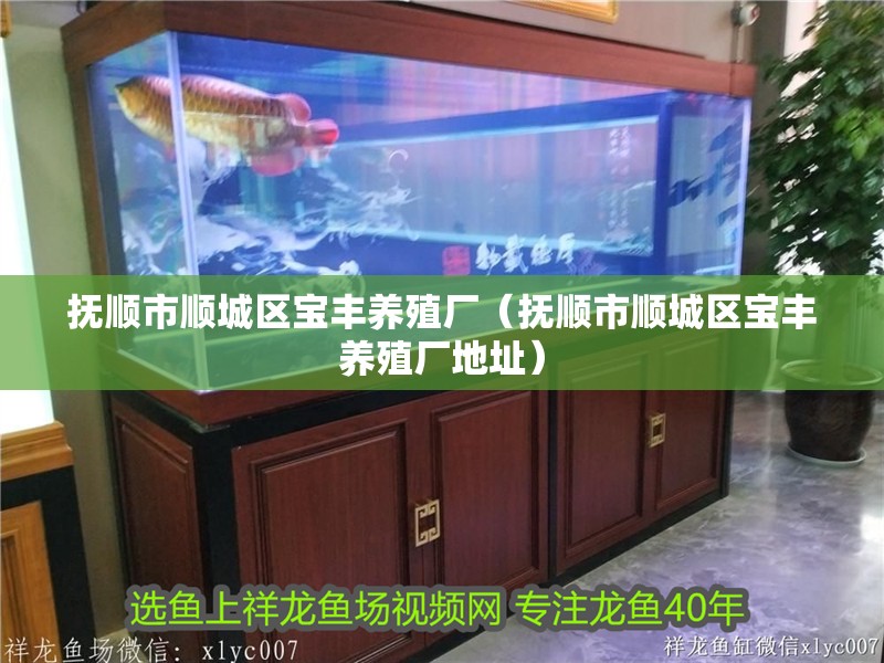 撫順市順城區(qū)寶豐養(yǎng)殖廠（撫順市順城區(qū)寶豐養(yǎng)殖廠地址）
