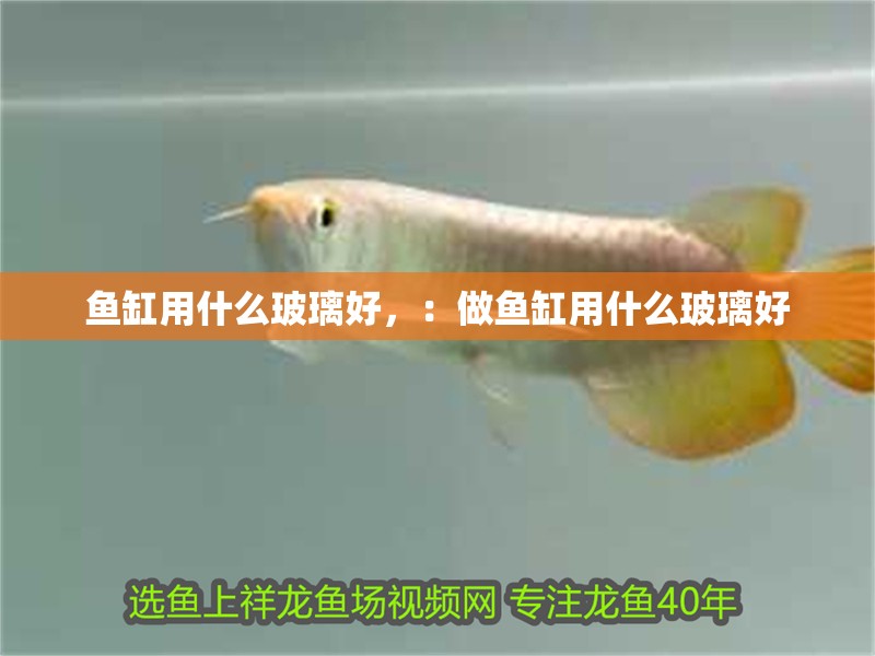 龍魚干蝦有營養(yǎng)嗎 魚缸用什么玻璃好,:做魚缸用什么玻璃好 魚缸百科 魚缸用什么玻璃好,:做魚缸用什么玻璃好 魚缸用什么玻璃好,:做魚缸用什么玻璃好 魚缸百科