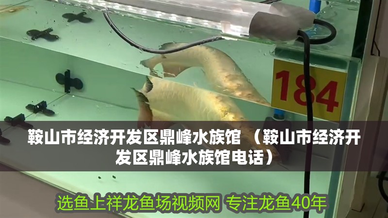 <strong><mark>鞍山</mark></strong>市經濟開發區鼎峰水族館 （<strong><mark>鞍山</mark></strong>市經濟開發區鼎峰水族館電話）