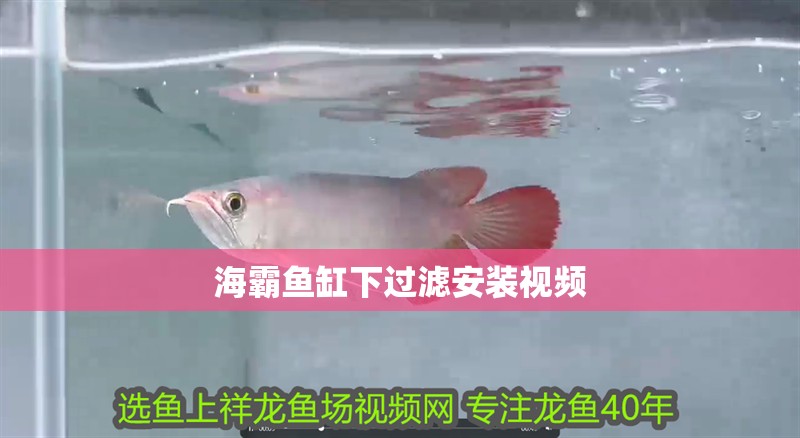 海霸魚缸下過濾安裝視頻