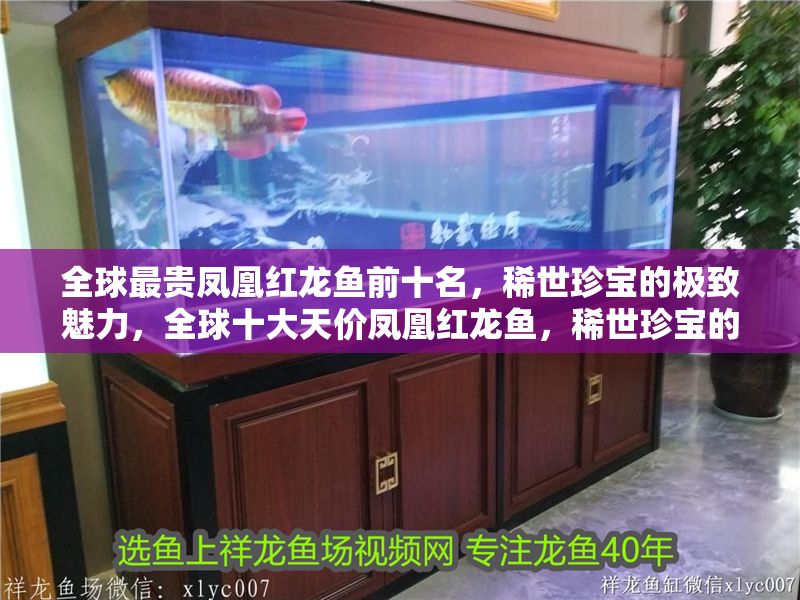全球最貴鳳凰紅龍魚前十名，稀世珍寶的極致魅力，全球十大天價鳳凰紅龍魚，稀世珍寶的極致魅力排行榜 全球最貴鳳凰紅龍魚前十名，稀世珍寶的極致魅力，全球十大天價鳳凰紅龍魚，稀世珍寶的極致魅力排行榜 龍魚百科 第1張