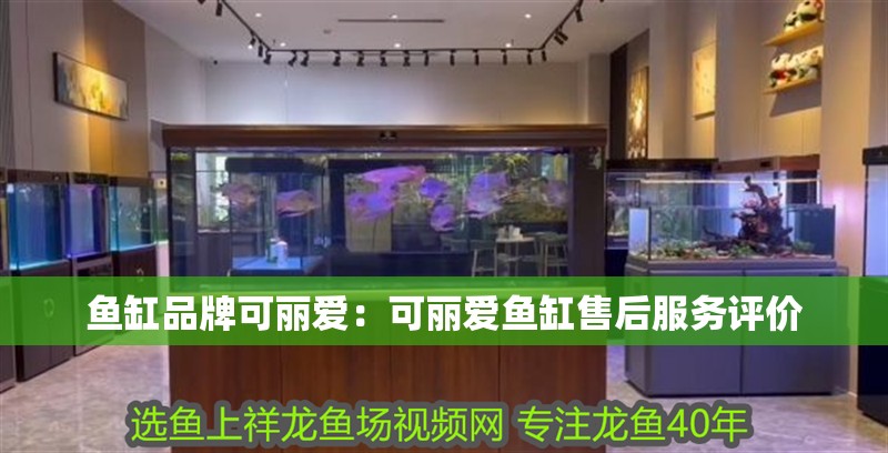 魚缸品牌可麗愛：可麗愛魚缸售后服務評價