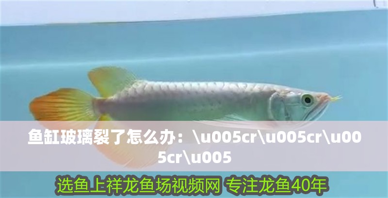魚缸玻璃裂了怎么辦：\u005cr\u005cr\u005cr\u005