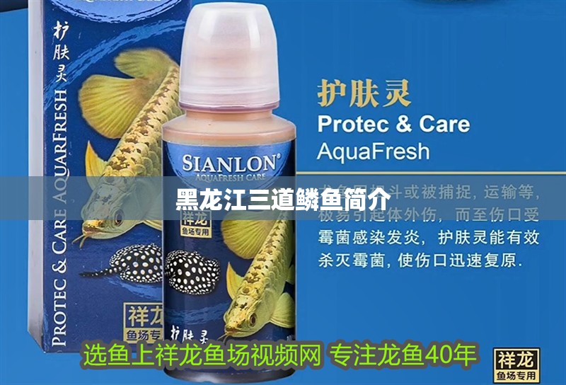 黑龍江三道鱗魚簡介 黑龍江三道鱗魚簡介 龍魚論壇