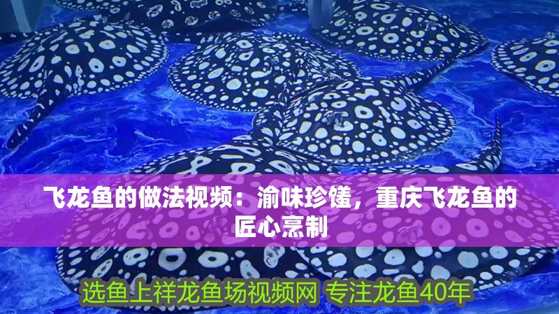 飛龍魚的做法視頻：渝味珍饈，重慶飛龍魚的匠心烹制