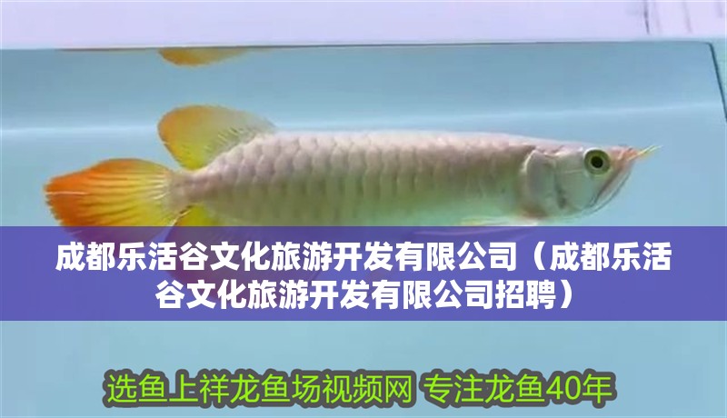 成都樂(lè)活谷文化旅游開(kāi)發(fā)有限公司（成都樂(lè)活谷文化旅游開(kāi)發(fā)有限公司招聘）