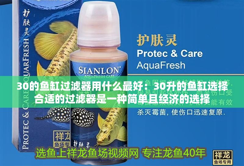 30的魚缸過濾器用什么最好：30升的魚缸選擇合適的過濾器是一種簡單且經濟的選擇