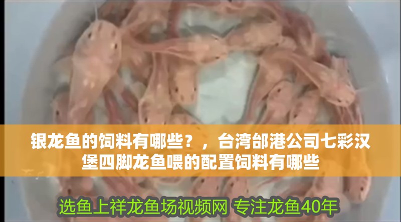 銀龍魚的飼料有哪些？，臺灣邰港公司七彩漢堡四腳龍魚喂的配置飼料有哪些 銀龍魚的飼料有哪些？，臺灣邰港公司七彩漢堡四腳龍魚喂的配置飼料有哪些 銀龍魚百科