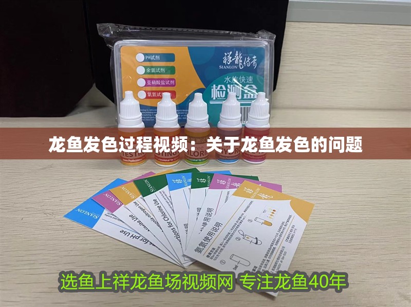 龍魚發色過程視頻：關于龍魚發色的問題