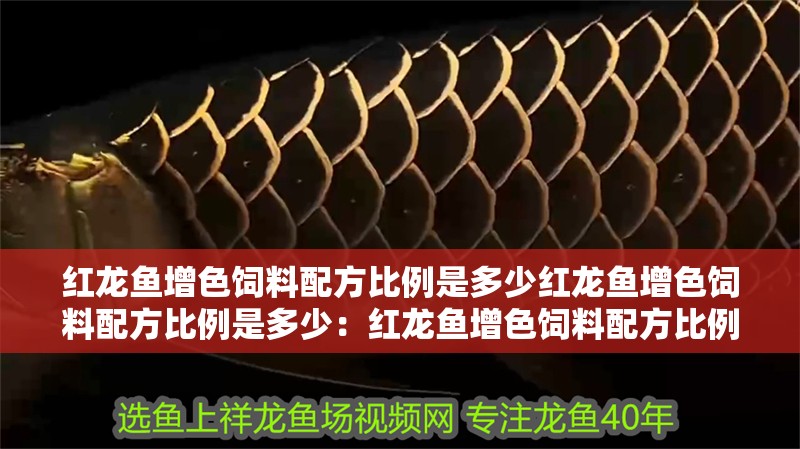 紅龍魚增色飼料配方比例是多少紅龍魚增色飼料配方比例是多少：紅龍魚增色飼料配方比例