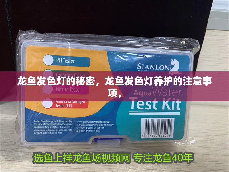 龍魚發色燈的秘密，龍魚發色燈養護的注意事項，
