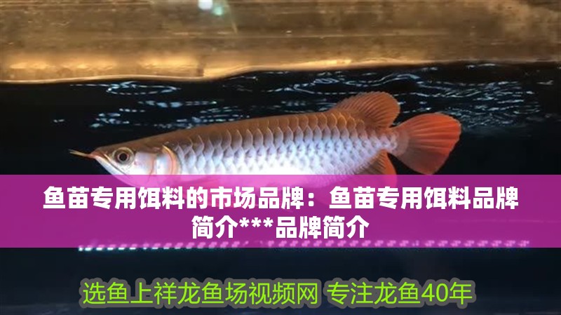 魚(yú)苗專用餌料的市場(chǎng)品牌：魚(yú)苗專用餌料品牌簡(jiǎn)介***品牌簡(jiǎn)介