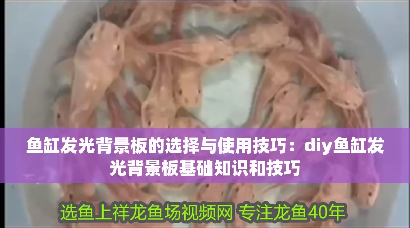 魚缸發(fā)光背景板的選擇與使用技巧：diy魚缸發(fā)光背景板基礎(chǔ)知識(shí)和技巧