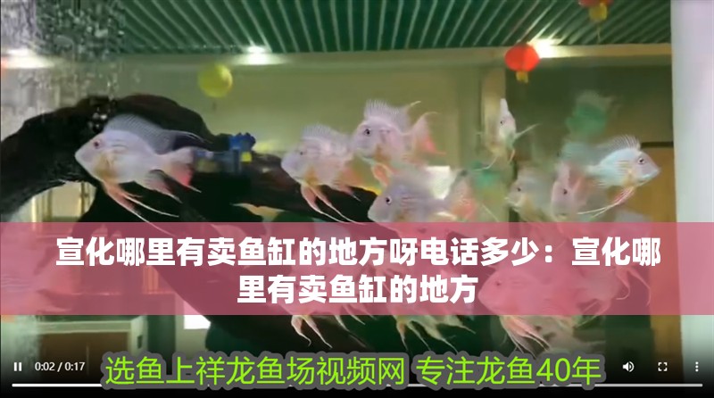 <strong><mark>宣化</mark></strong>哪里有賣魚缸的地方呀電話多少：<strong><mark>宣化</mark></strong>哪里有賣魚缸的地方