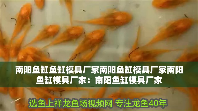 南陽魚缸魚缸模具廠家南陽魚缸模具廠家南陽魚缸模具廠家：南陽魚缸模具廠家