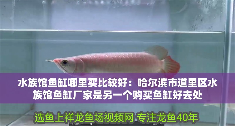 水族館魚缸哪里買比較好：哈爾濱市<strong><mark>道里</mark></strong>區水族館魚缸廠家是另一個購買魚缸好去處
