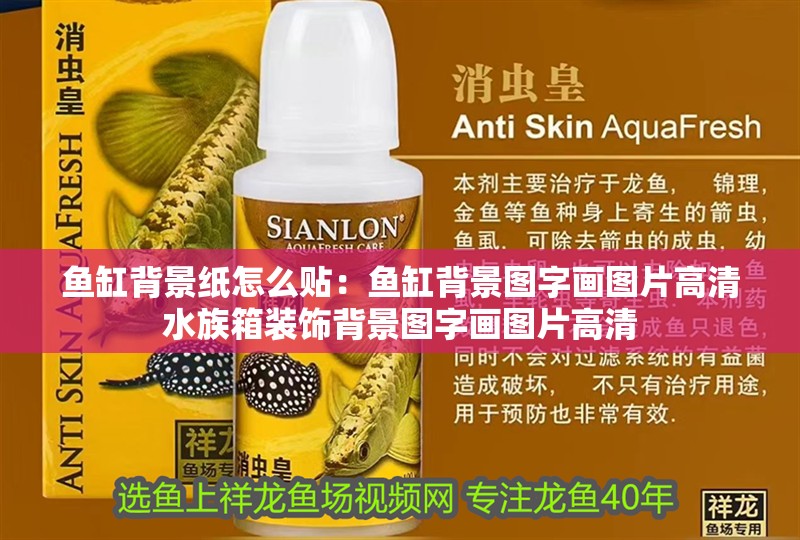魚缸背景紙怎么貼：魚缸背景圖字畫圖片高清水族箱裝飾背景圖字畫圖片高清