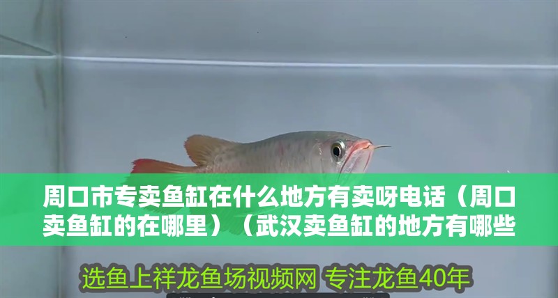 <strong><mark>周口</mark></strong>市專賣魚缸在什么地方有賣呀電話（<strong><mark>周口</mark></strong>賣魚缸的在哪里）（武漢賣魚缸的地方有哪些？）