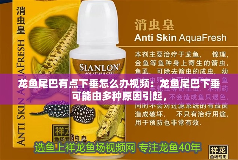 龍魚尾巴有點下垂怎么辦視頻：龍魚尾巴下垂可能由多種原因引起，