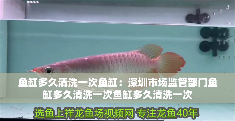魚(yú)缸多久清洗一次魚(yú)缸：深圳市場(chǎng)監(jiān)管部門(mén)魚(yú)缸多久清洗一次魚(yú)缸多久清洗一次