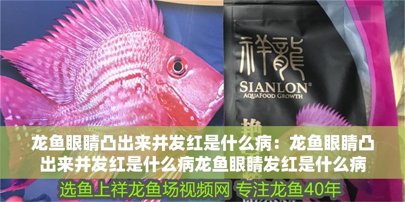 龍魚眼睛凸出來并發(fā)紅是什么病：龍魚眼睛凸出來并發(fā)紅是什么病龍魚眼睛發(fā)紅是什么病