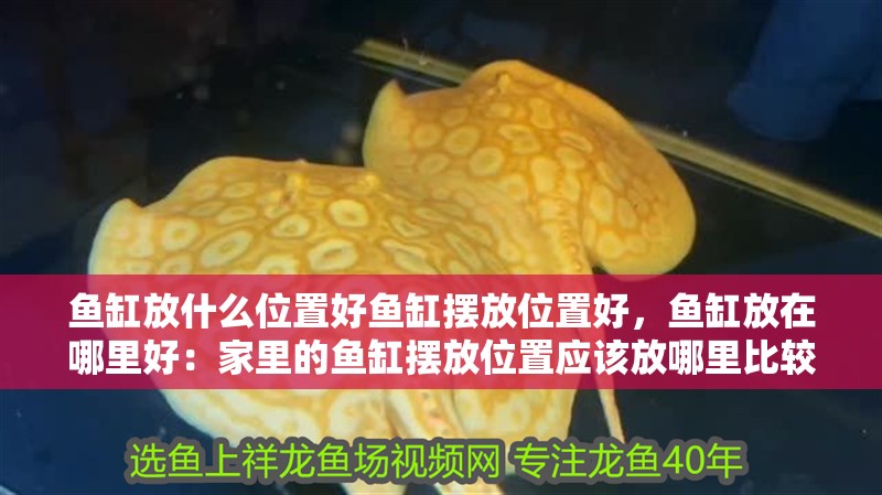 魚缸放什么位置好魚缸擺放位置好，魚缸放在哪里好：家里的魚缸擺放位置應(yīng)該放哪里比較好？
