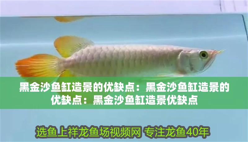 黑<strong><mark>金沙</mark></strong>魚缸造景的優缺點：黑<strong><mark>金沙</mark></strong>魚缸造景的優缺點：黑<strong><mark>金沙</mark></strong>魚缸造景優缺點