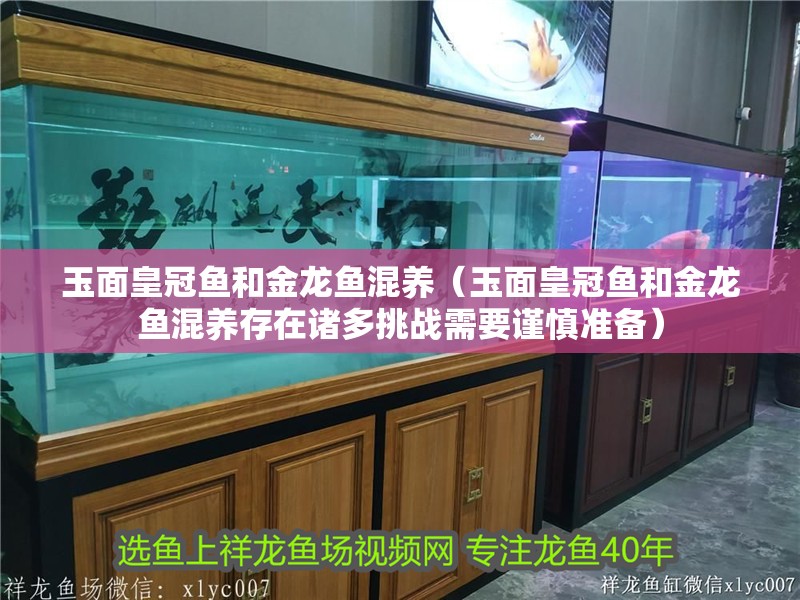 玉面皇冠魚和金龍魚混養（玉面皇冠魚和金龍魚混養存在諸多挑戰需要謹慎準備） 玉面皇冠魚和金龍魚混養（玉面皇冠魚和金龍魚混養存在諸多挑戰需要謹慎準備） 龍魚百科