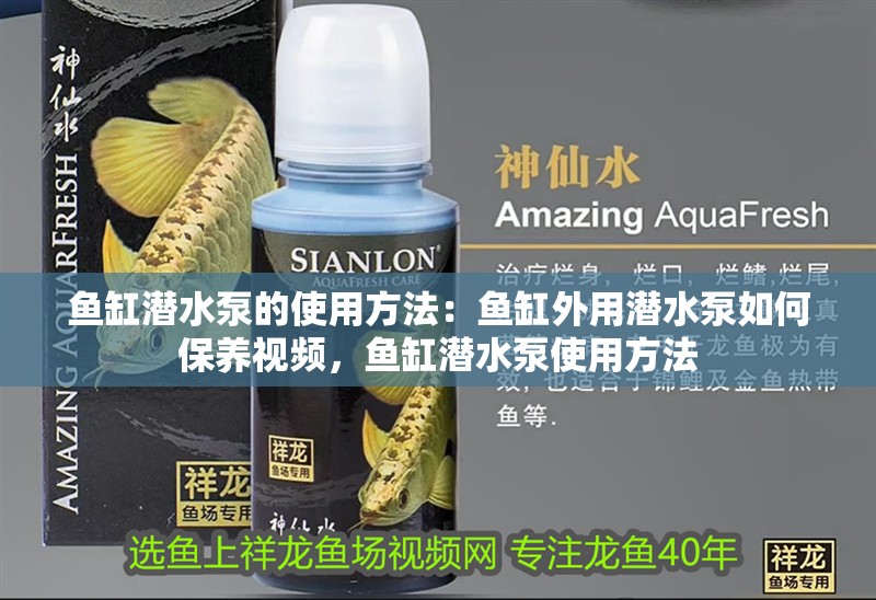 魚缸潛水泵的使用方法：魚缸外用潛水泵如何保養視頻，魚缸潛水泵使用方法 魚缸潛水泵的使用方法：魚缸外用潛水泵如何保養視頻，魚缸潛水泵使用方法 魚缸百科