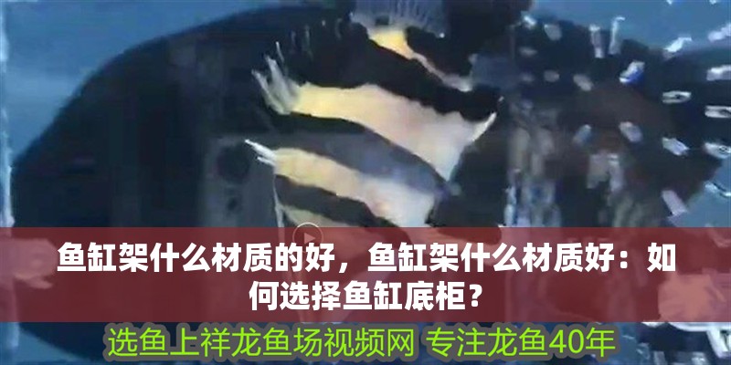 魚缸架什么材質(zhì)的好，魚缸架什么材質(zhì)好：如何選擇魚缸底柜？