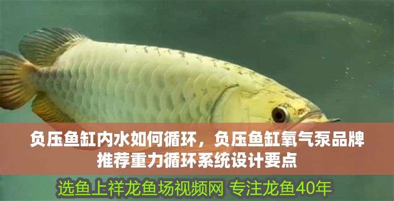 負壓魚缸內水如何循環，負壓魚缸氧氣泵品牌推薦重力循環系統設計要點