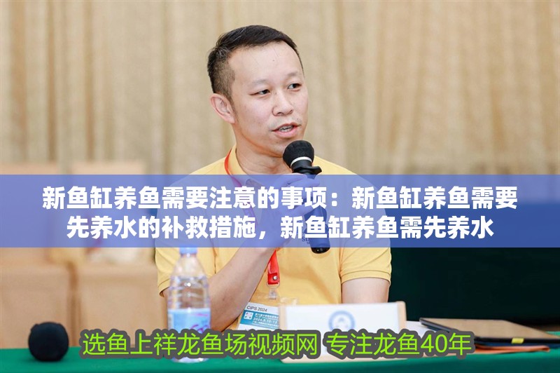 新魚缸養魚需要注意的事項：新魚缸養魚需要先養水的補救措施，新魚缸養魚需先養水