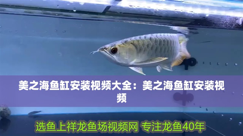 美之海魚缸安裝視頻大全：美之海魚缸安裝視頻 美之海魚缸安裝視頻大全：美之海魚缸安裝視頻 魚缸百科
