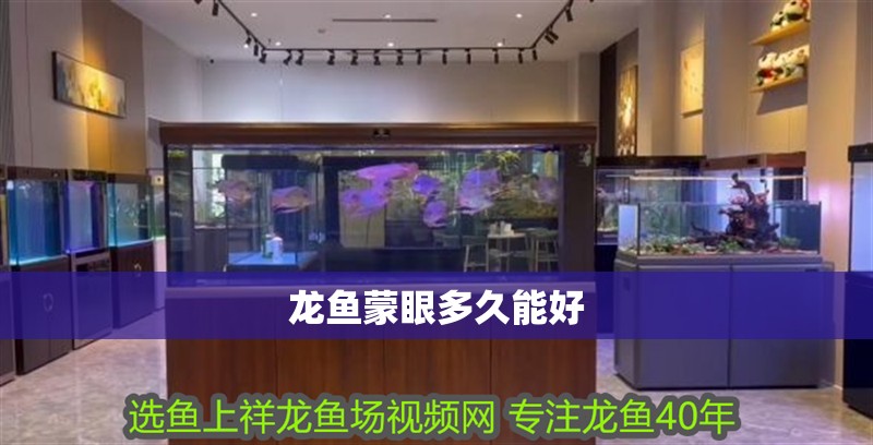 龍魚蒙眼多久能好 龍魚蒙眼多久能好 龍魚論壇