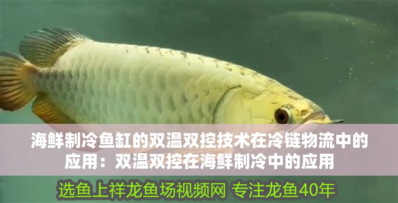 海鮮制冷魚缸的雙溫雙控技術在冷鏈物流中的應用：雙溫雙控在海鮮制冷中的應用 海鮮制冷魚缸的雙溫雙控技術在冷鏈物流中的應用：雙溫雙控在海鮮制冷中的應用 魚缸百科