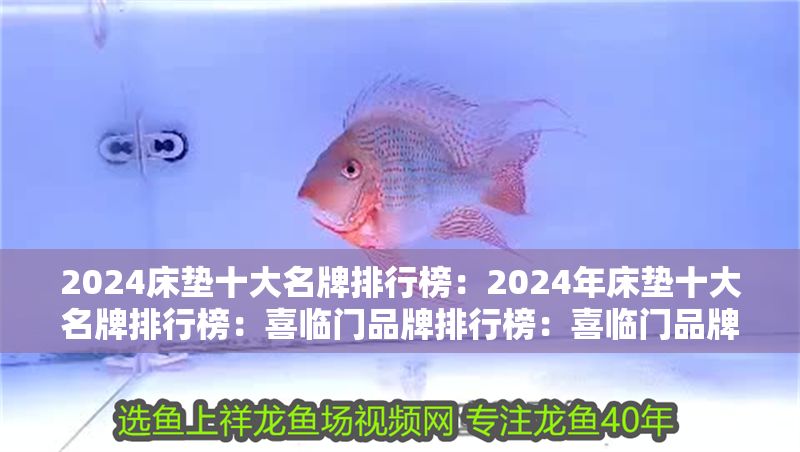 2024床墊十大名牌排行榜：2024年床墊十大名牌排行榜：喜臨門品牌排行榜：喜臨門品牌