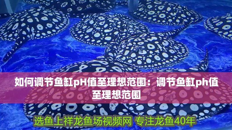 如何調節魚缸pH值至理想范圍：調節魚缸ph值至理想范圍