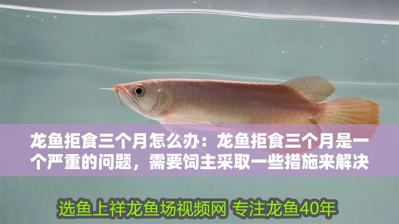 魚缸用增氧泵價格是多少:魚缸增氧機(jī)-xtrac增氧機(jī)-xtrac增氧機(jī) 龍魚拒食三個月怎么辦:龍魚拒食三個月是一個嚴(yán)重的問題,需要飼主采取一些措施來解決 龍魚百科 龍魚拒食三個月怎么辦:龍魚拒食三個月是一個嚴(yán)重的問題,需要飼主采取一些措施來解決 龍魚拒食三個月怎么辦:龍魚拒食三個月是一個嚴(yán)重的問題,需要飼主采取一些措施來解決 龍魚百科