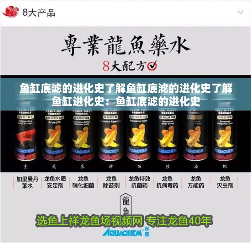 魚(yú)缸底濾的進(jìn)化史了解魚(yú)缸底濾的進(jìn)化史了解魚(yú)缸進(jìn)化史：魚(yú)缸底濾的進(jìn)化史
