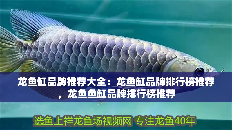 龍魚缸品牌推薦大全：龍魚缸品牌排行榜推薦，龍魚魚缸品牌排行榜推薦
