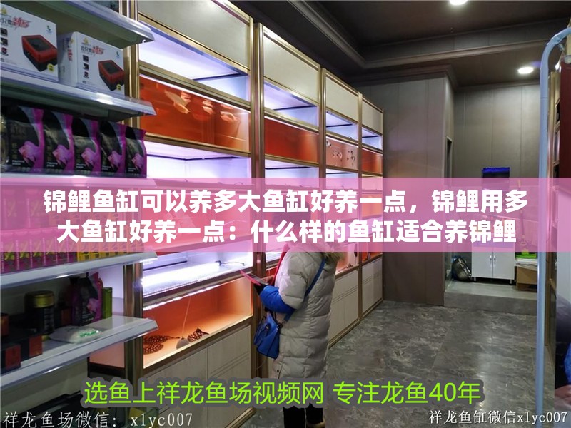 錦鯉魚缸可以養(yǎng)多大魚缸好養(yǎng)一點，錦鯉用多大魚缸好養(yǎng)一點：什么樣的魚缸適合養(yǎng)錦鯉