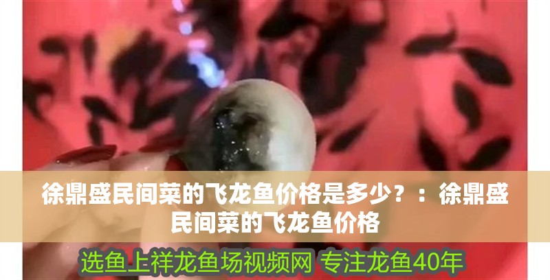 徐鼎盛民間菜的飛龍魚(yú)價(jià)格是多少？：徐鼎盛民間菜的飛龍魚(yú)價(jià)格